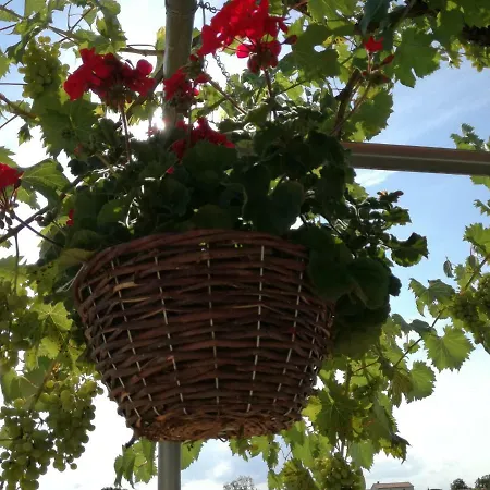 Traditional Stone House St.anton Casa vacanze *